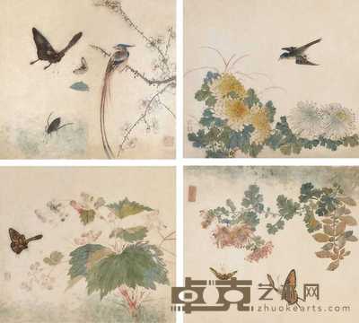 佚名 花卉 镜心 33×30cm